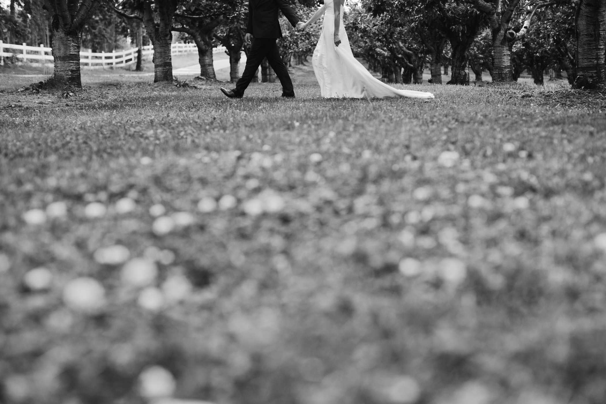 Kelowna Orchard Wedding Photography