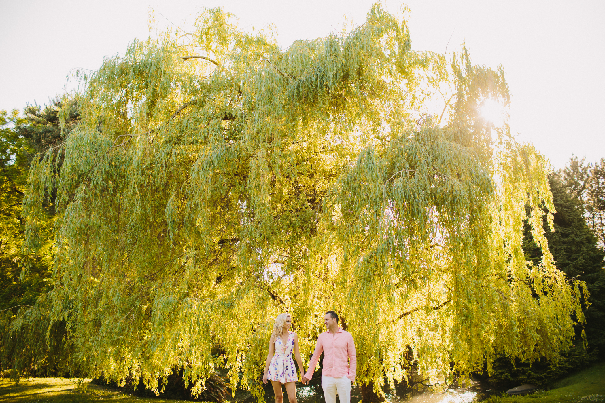 weeping willow engagement portrait