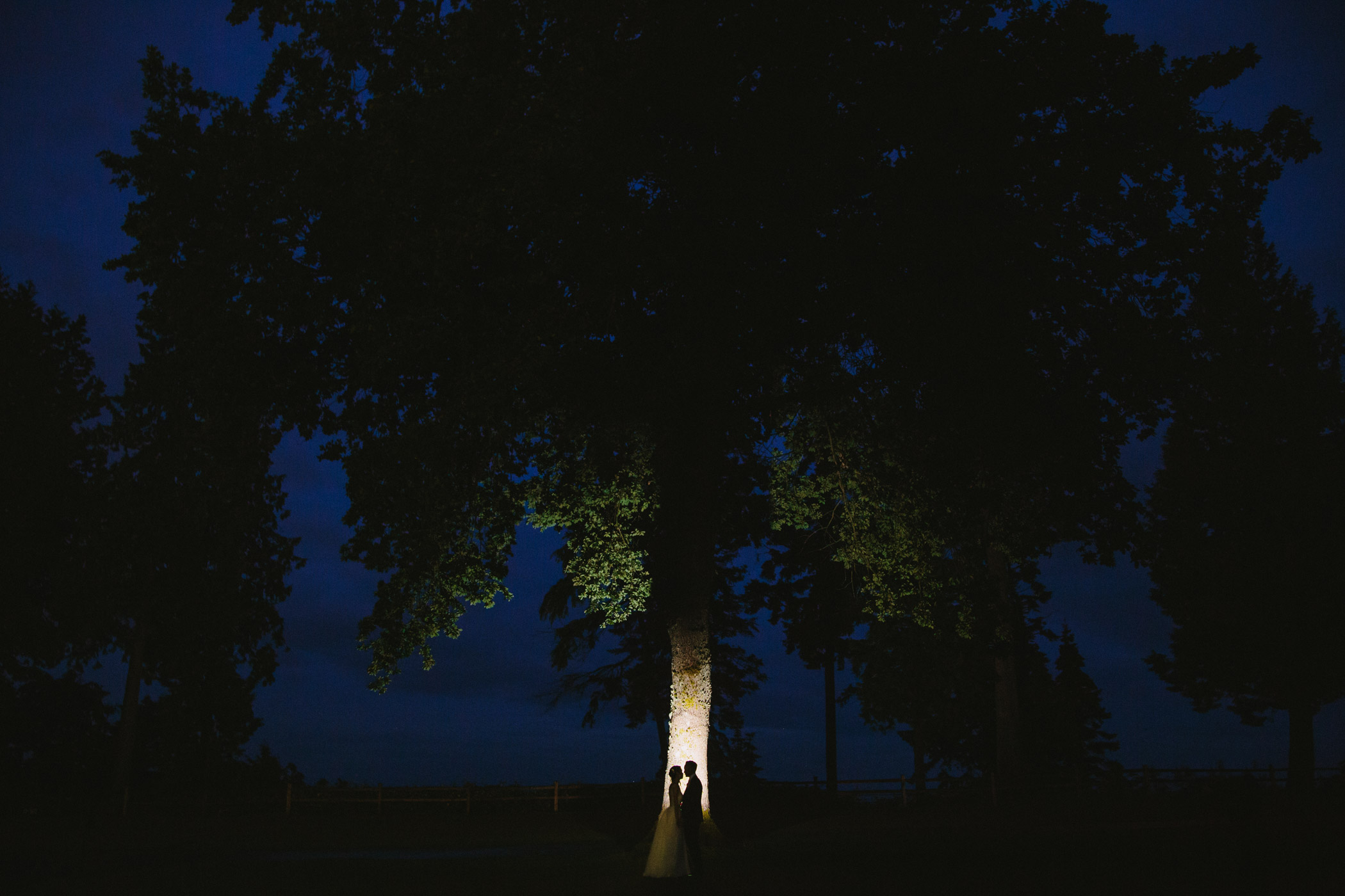 Night time silhouette portrait with tree